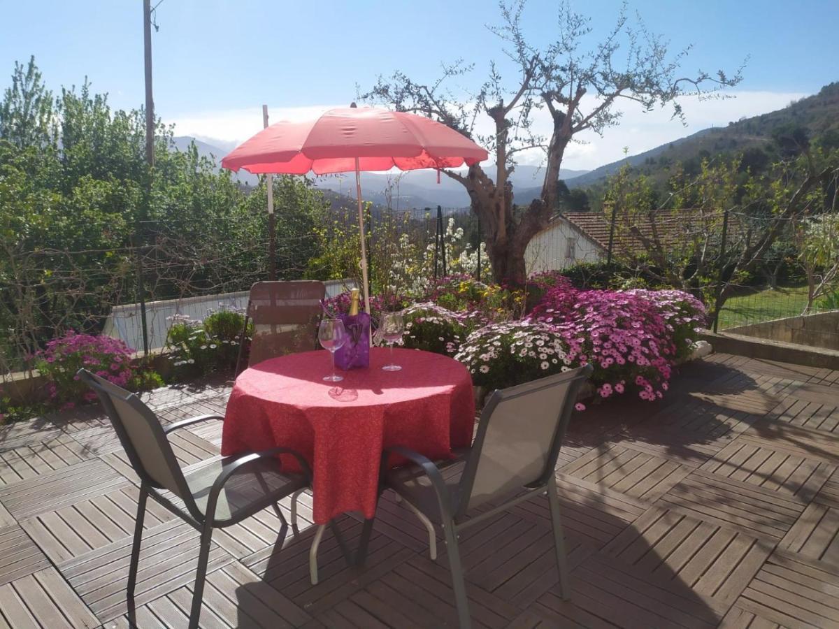 Studio Le Romantique A 20 Kms De Nice Bendéjun Exterior foto